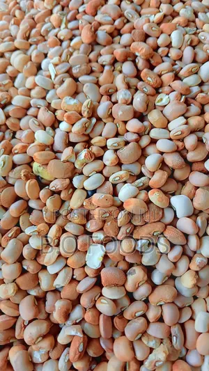 Quality Brown Olotu Beans (Available in Wholesale and Retail)