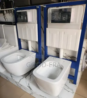 Wall Hung Conduit Wc