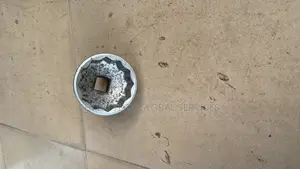 Socket 60mm