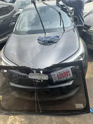 Front Windscreen Glass for Toyota C-Hr 2018 Available
