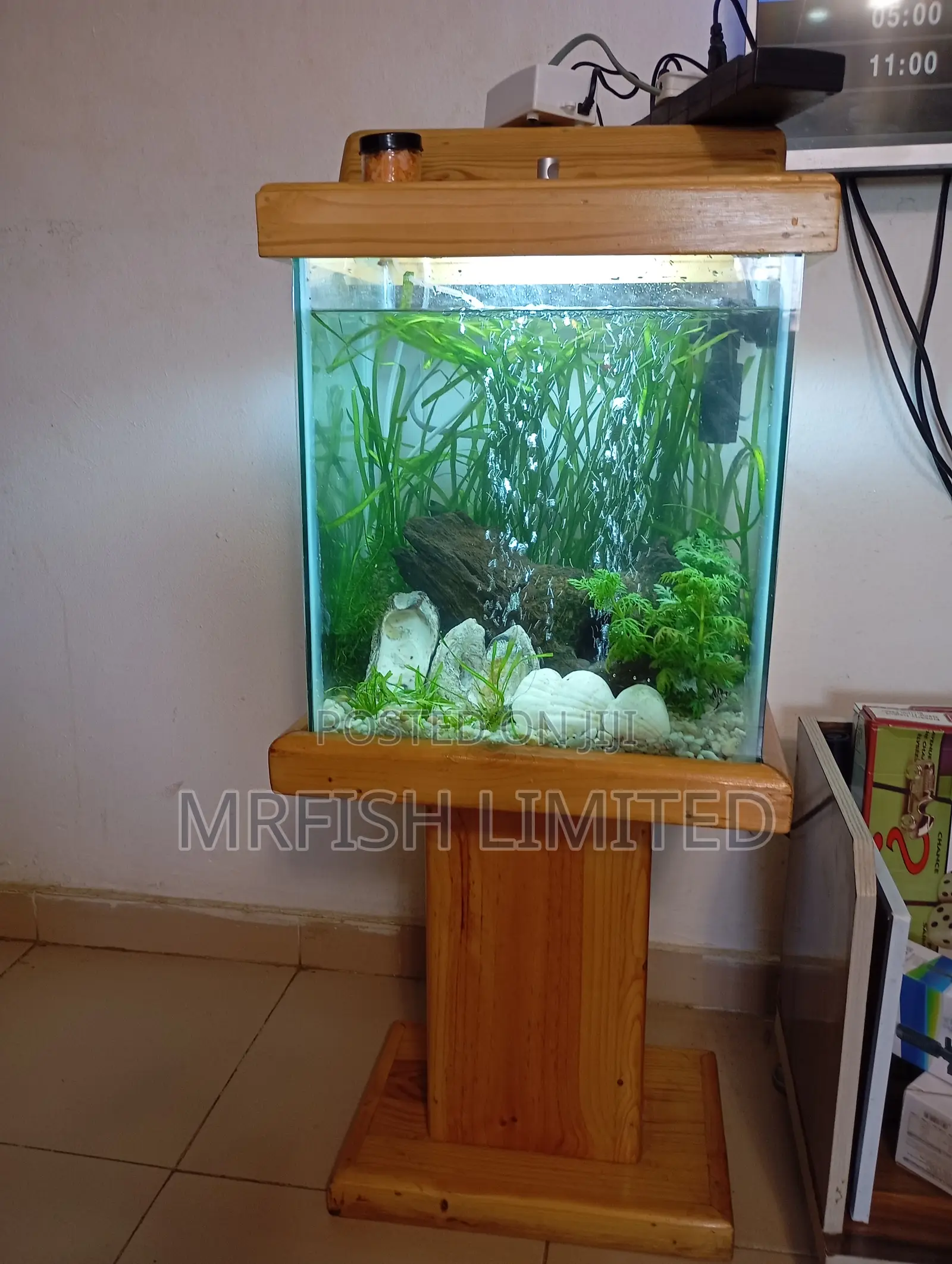Pine Wood Aquarium