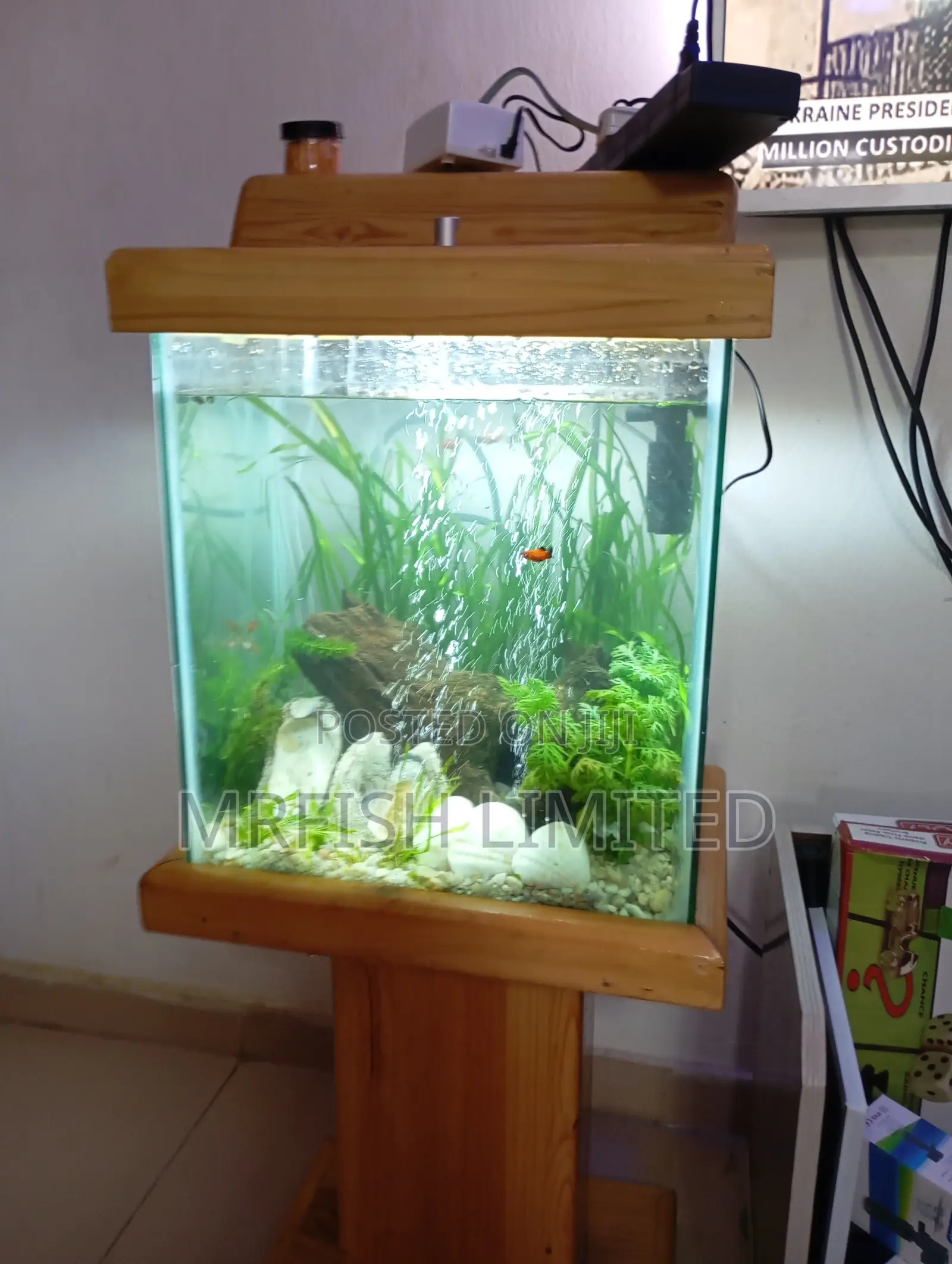 Pine Wood Aquarium