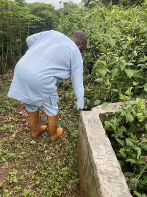 Half Plot of Land
