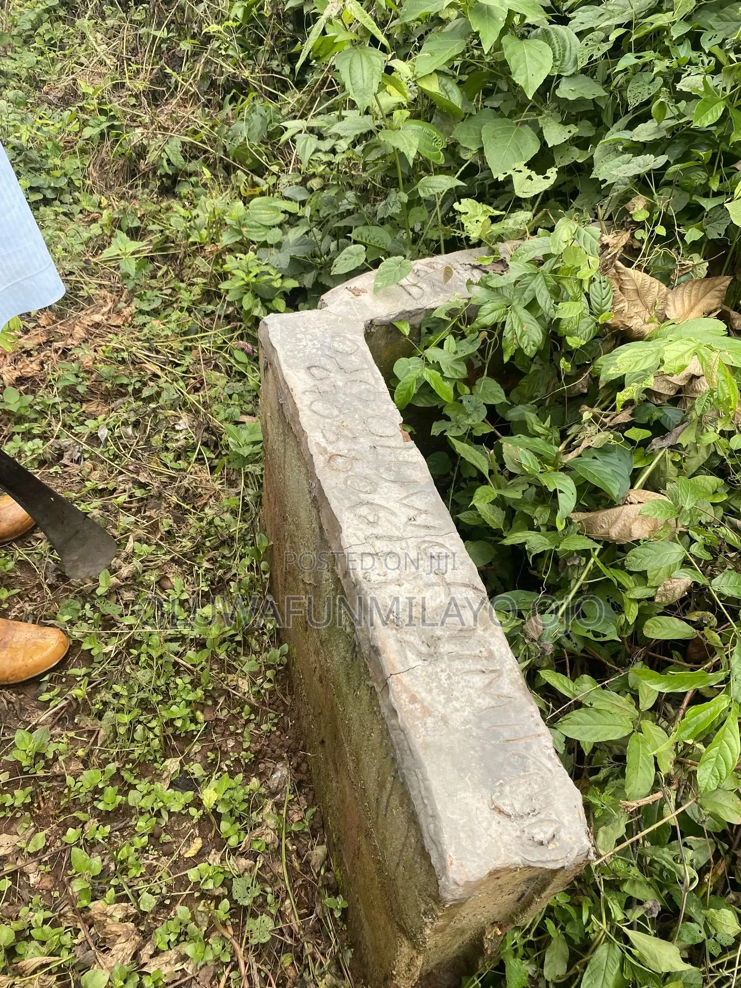 Half Plot of Land