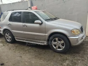 Mercedes-Benz M Class ML 320 2003 Silver