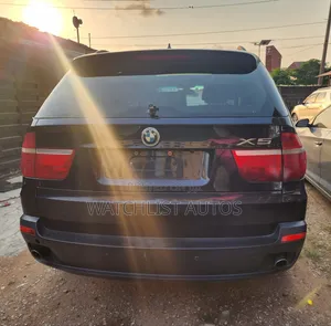 BMW X5 3.0si Activity 2008 Blue