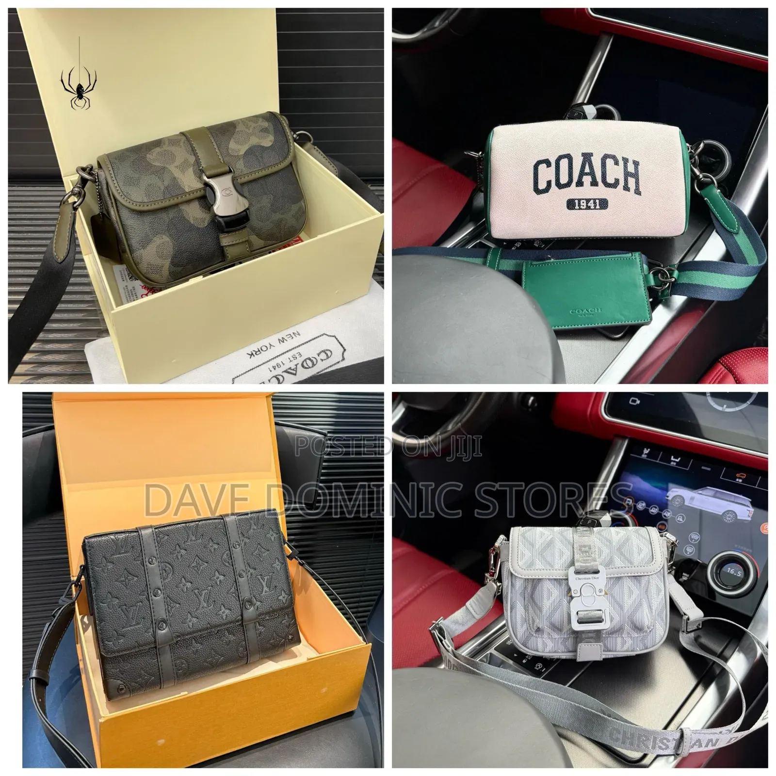 Dior and Louis Coach Bags
