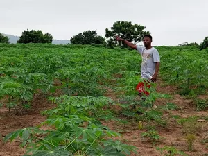 Farmlamd for Sale