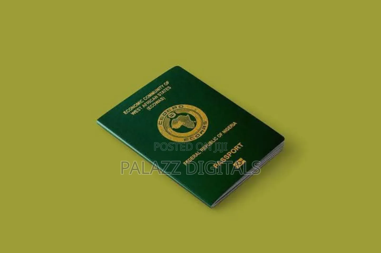 International Passport Application