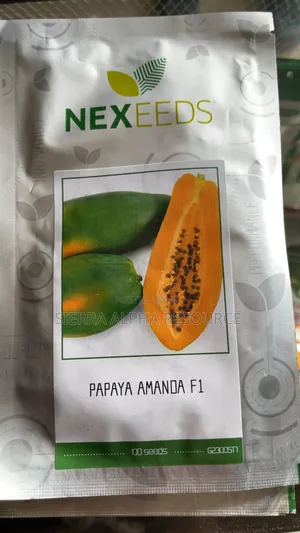 Hybrid Pawpaw Seeds