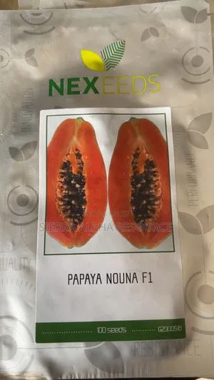 Hybrid Pawpaw Seeds