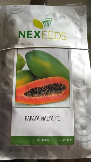 Hybrid Pawpaw Seeds