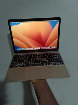 Laptop Apple MacBook 2017 8GB Intel Core M3 SSD 256GB