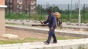 Best Fumigation Service