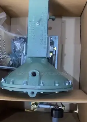 Chemical Injection Pump (Flomore)