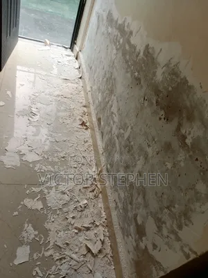 Treatment Damp Wall, Painting
