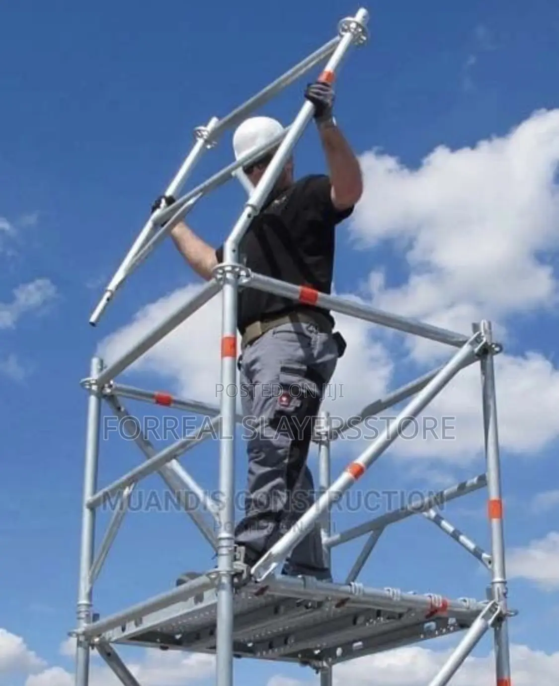 Scaffoldings