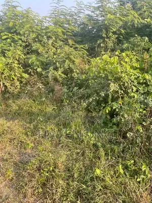 Full Plot of Land ,Olodo