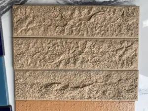 Weather Friendly China Bricks