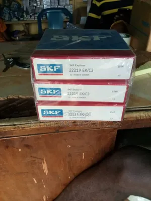 SKF Industrial Bearing