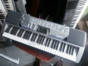 Standard Casio CTK 496