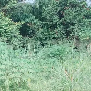 Lovely Land Available for Sale
