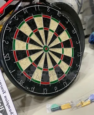 Champion Tournament Dartboard.