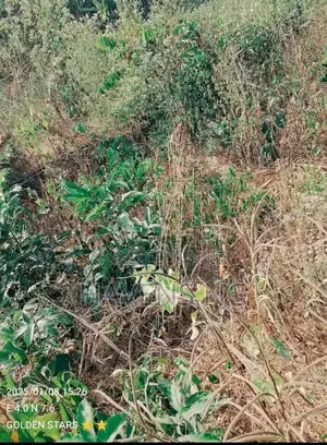 2 Plots of Land for Sale at Arulogun