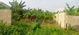 Relocation / Investment Offer