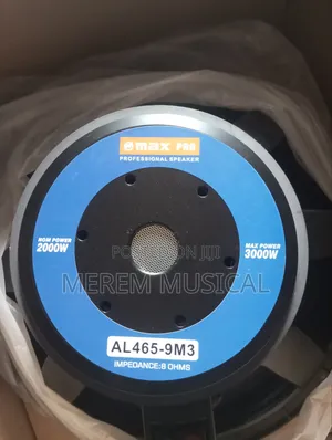 18" Naked Speaker