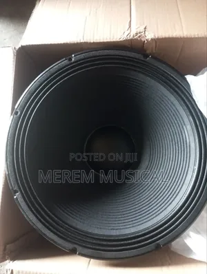 18" Naked Speaker