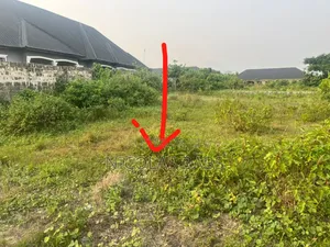 50/80 Plot Of Land For Sale In Ugwotor Waterside