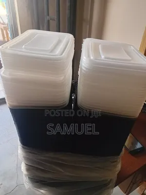 Big Reusable Takeaway Plates