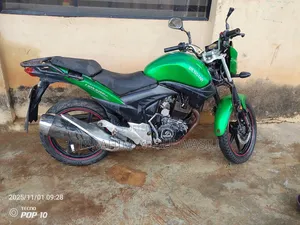 Denstar Lion King 2020 Green
