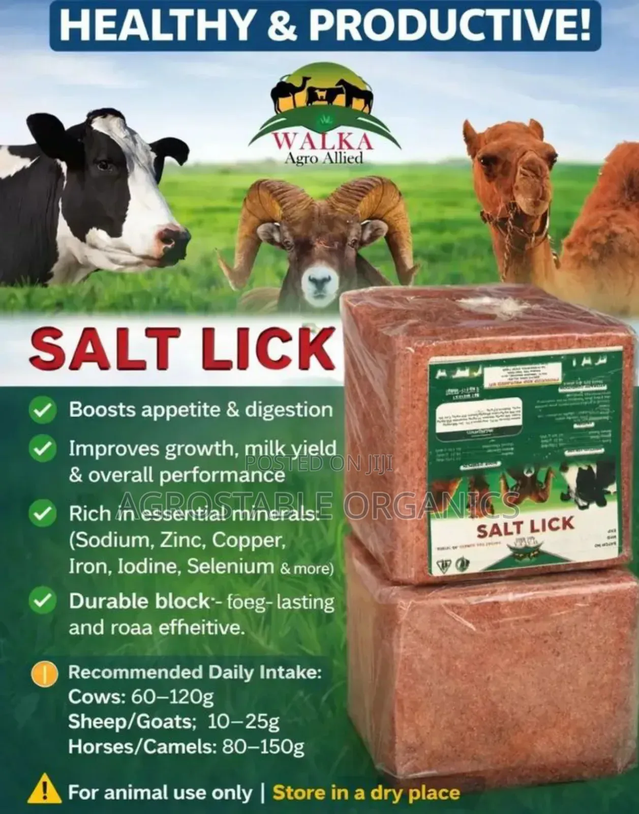 Animals Salt Lick
