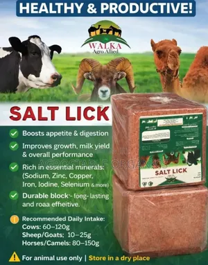 Animals Salt Lick