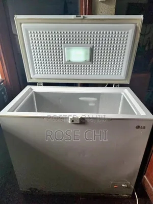 Lg Freezer