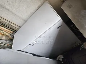 Lg Freezer