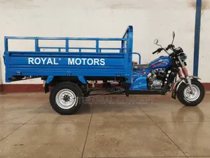 New Tricycle 2025 Blue