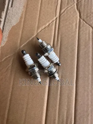 Fogging Machine Plug