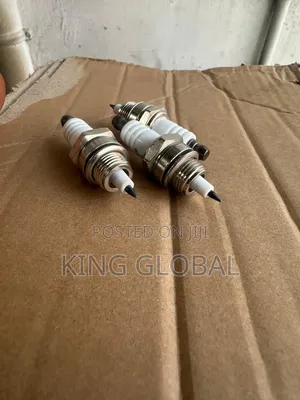 Fogging Machine Plug