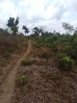Farmland for Sale in Elere