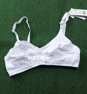 Nursing Bra
