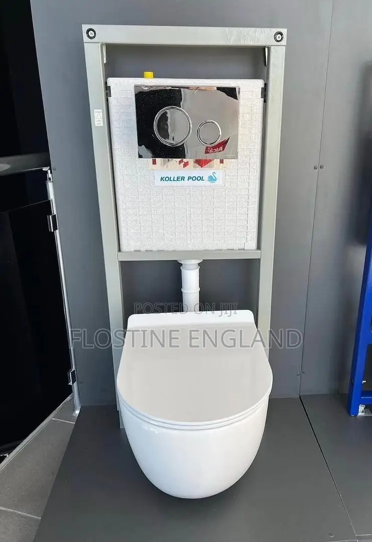 Wall Hung Toilet Seat