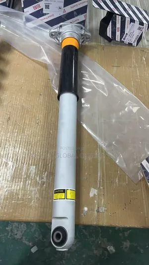 Porsche Panemera Back Shock