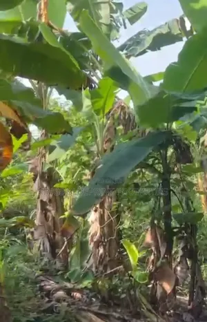 Four Plots of Land for Sale Effurun Gra, Effurun Delta State