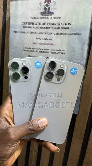 Apple iPhone 15 Pro Max 256 GB Silver