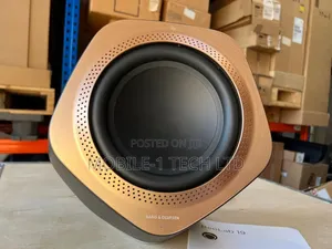 Bang and Olufsen Beolab 19 Subwoofer