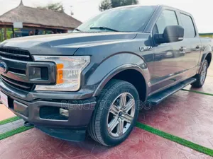 Ford F-150 2019 Gray