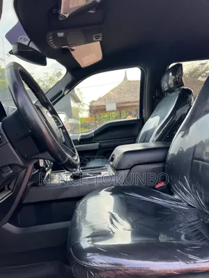 Ford F-150 2019 Gray
